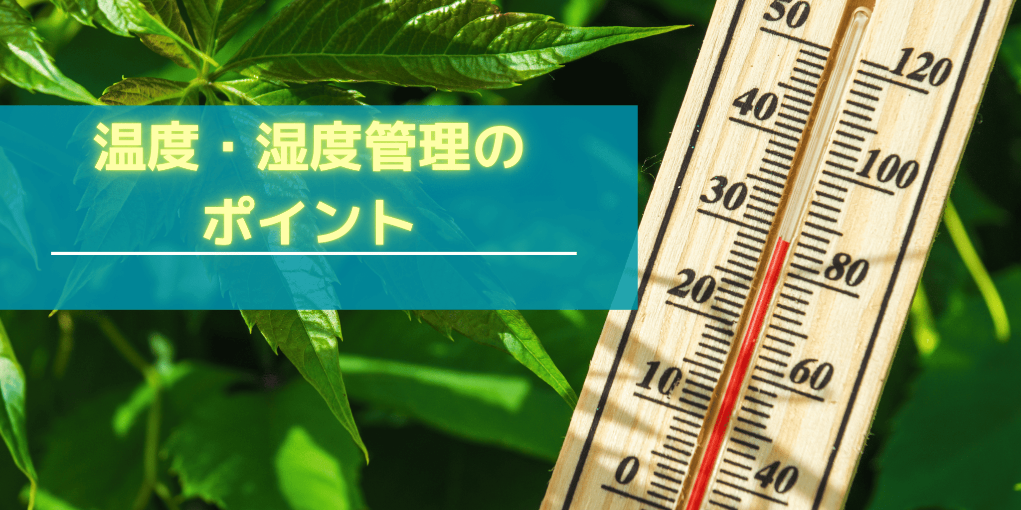 blog5-top (3) (1).png